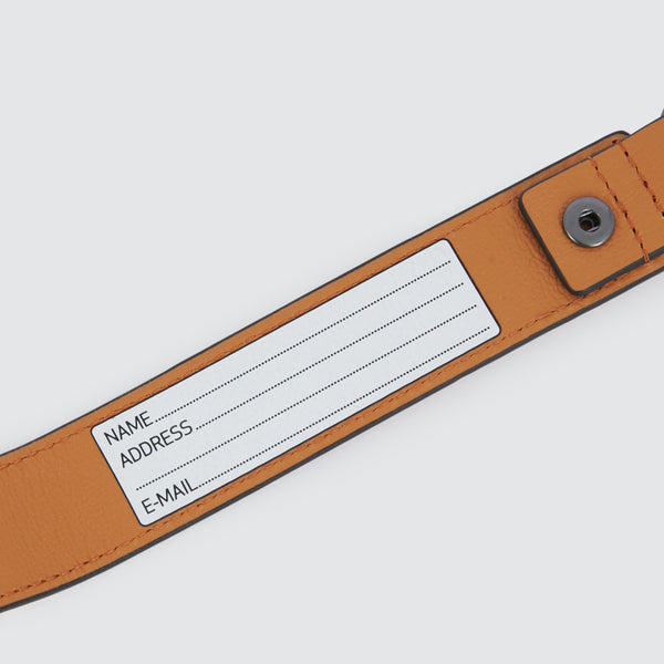 Address Tag in leather with carabiner