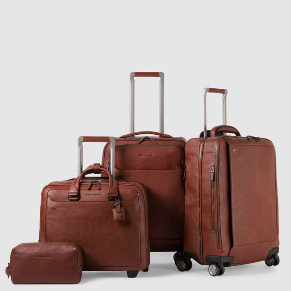 Toiletry bag with two dividers