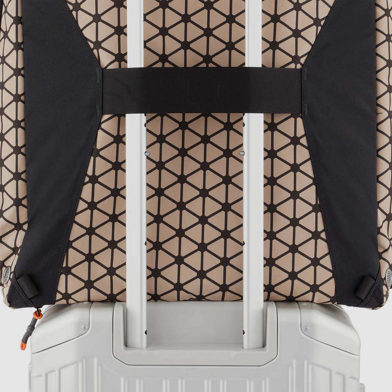 Ski boot bag