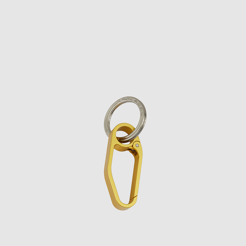 Keychain with big carabiner hook